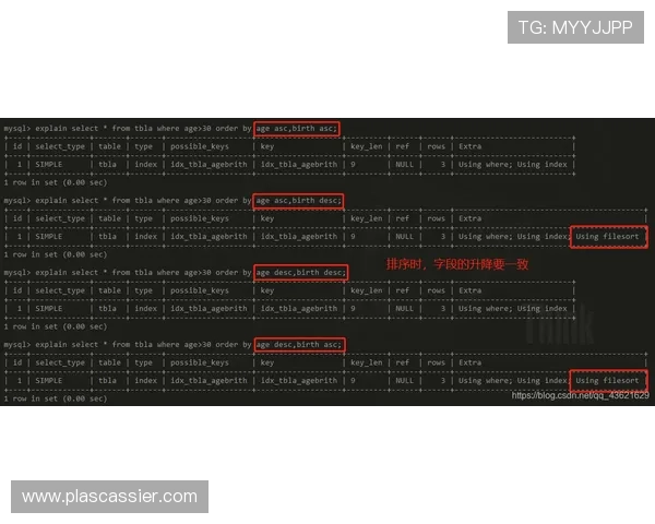乐博真人下载官网版本更新日志，掌握最新游戏内容和优化措施